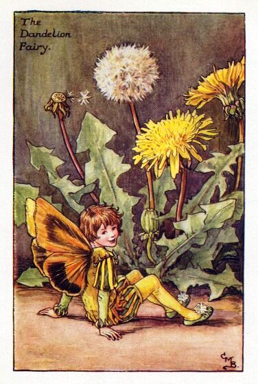 Dandelion Flower Fairy Vintage Print by Cicely Mary Barker