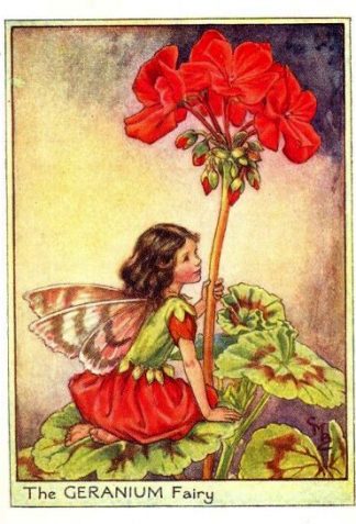 Geranium Flower Fairy Vintage Print by Cicely Mary Barker