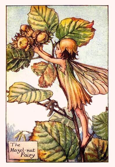 Hazelnut Flower Fairy Vintage Print by Cicely Mary Barker