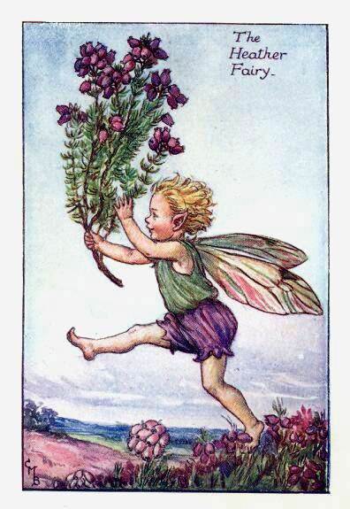 Heather Flower Fairy Print by Cicely Mary Barker