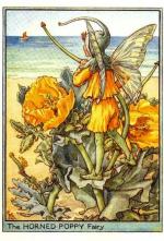 Tansy Flower Fairy Vintage Print, Cicely Mary Barker – The Flower Fairy ...