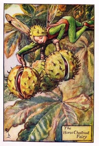 Horse Chestnut Flower Fairy Vintage Print by Cicely Mary Barker