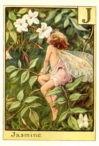 Jasmine Flower Fairy Vintage Print by Cicely Mary Barker