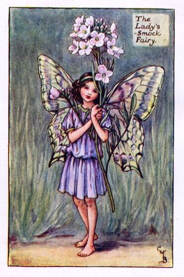 Lady’s-Smock Flower Fairy Vintage Print by Cicely Mary Barker