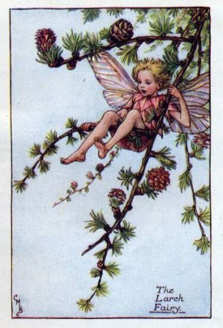 Larch Flower Fairy Vintage Print by Cicely Mary Barker