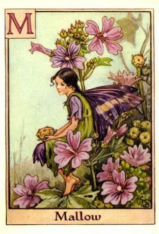 Mallow Flower Fairy Vintage Print by Cicely Mary Barker