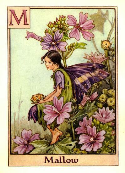 Mallow Flower Fairy Vintage Print by Cicely Mary Barker