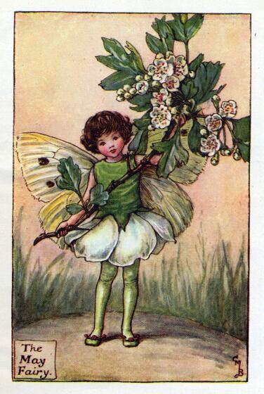 May Flower Fairy Vintage Print by Cicely Mary Barker