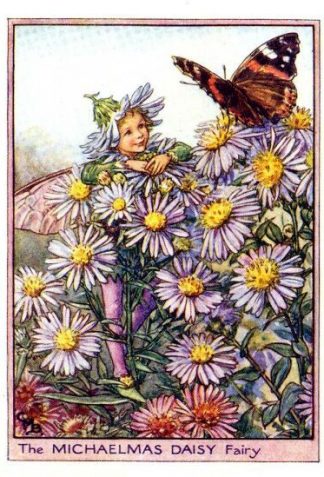 Michaelmas Daisy Flower Fairy Vintage Print by Cicely Mary Barker
