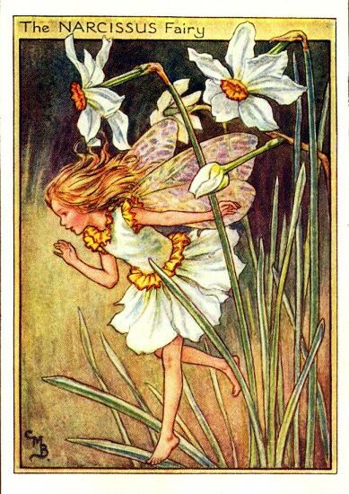 Narcissus Flower Fairy Vintage Print by Cicely Mary Barker