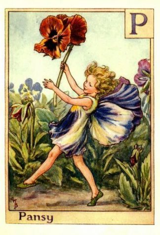 Pansy Flower Fairy Vintage Print by Cicely Mary Barker