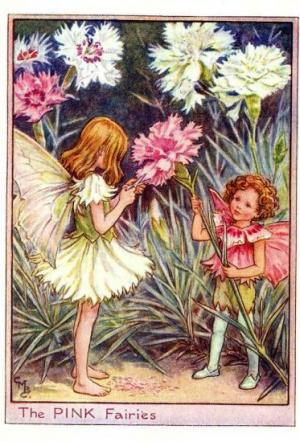 The Pink Flower Fairy Vintage Print, Cicely Mary Barker – The Flower ...