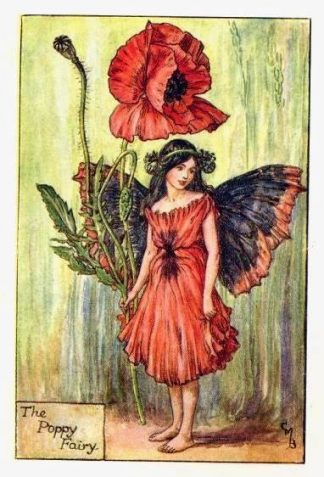 Poppy Flower Fairy Print by Cicely Mary Barker