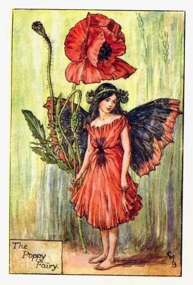 Poppy Flower Fairy Print by Cicely Mary Barker