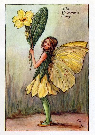 Primrose Flower Fairy Vintage Print by Cicely Mary Barker