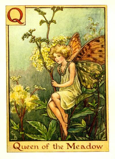 Queen of the Meadow Flower Fairy Vintage Print by Cicely Mary Barker
