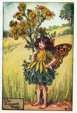 Ragwort Flower Fairy Vintage Print by Cicely Mary Barker