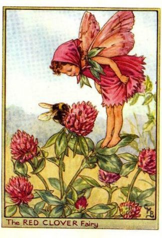 Red Clover Flower Fairy Vintage Print by Cicely Mary Barker
