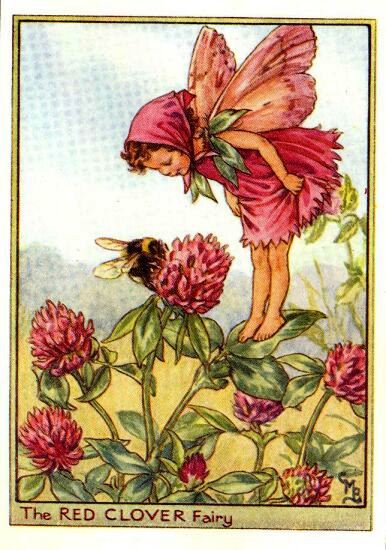 Red Clover Flower Fairy Vintage Print by Cicely Mary Barker