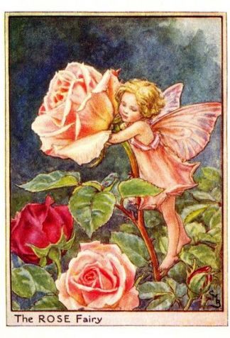 Rose Flower Fairy Vintage Print by Cicely Mary Barker