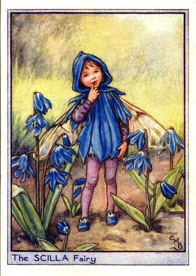 Scilla Flower Fairy Vintage Print by Cicely Mary Barker