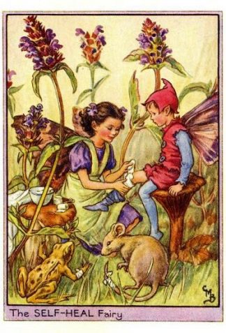 Self-Heal Flower Fairy Vintage Print by Cicely Mary Barker