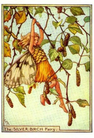 Silver Birch Flower Fairy Vintage Print by Cicely Mary Barker