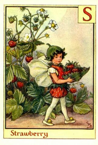 Strawberry Flower Fairy Vintage Print by Cicely Mary Barker