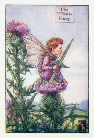 Thistle Flower Fairy Vintage Print by Cicely Mary Barker