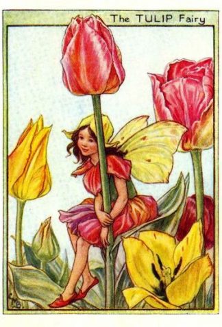 Tulip Flower Fairy Vintage Print by Cicely Mary Barker