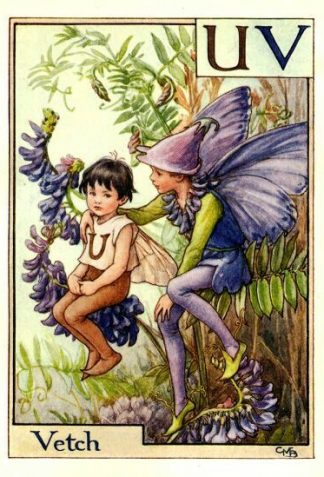 Vetch Flower Fairy Vintage Print by Cicely Mary Barker
