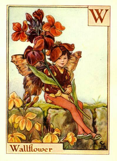 Wallflower Flower Fairy Vintage Print by Cicely Mary Barker