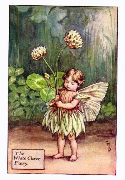 White Clover Flower Fairy Vintage Print by Cicely Mary Barker