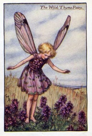 Wild Thyme Flower Fairy Vintage Print by Cicely Mary Barker