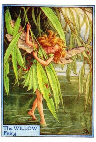 Willow Tree Flower Fairy Vintage Print by Cicely Mary Barker