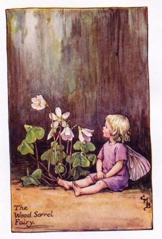 Wood Sorrel Flower Fairy Vintage Print by Cicely Mary Barker