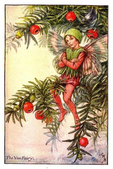 Yew Flower Fairy Vintage Print by Cicely Mary Barker